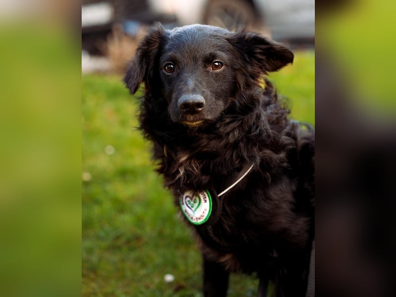 Ace such seine Herzensmenschen...