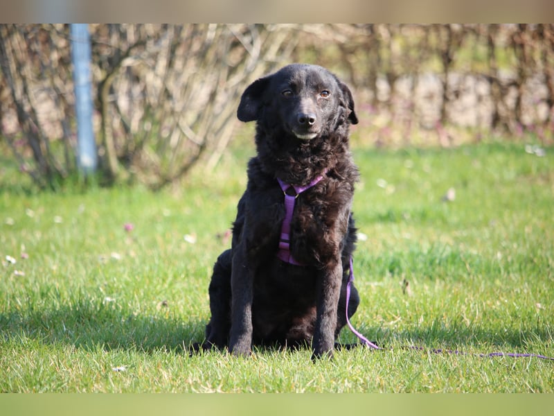 Nika hat endlose Liebe zu verschenken!