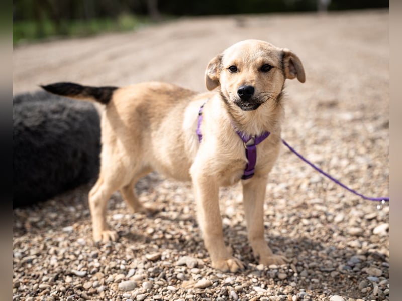 Wer schenkt Lisana ein zu Hause...