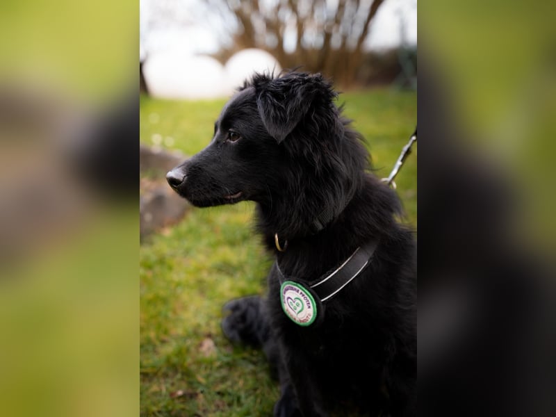 Leilani möchte ihr Herz verschenken...