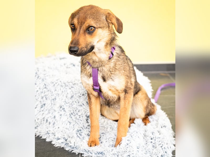 liebenswerte kleine - Serina