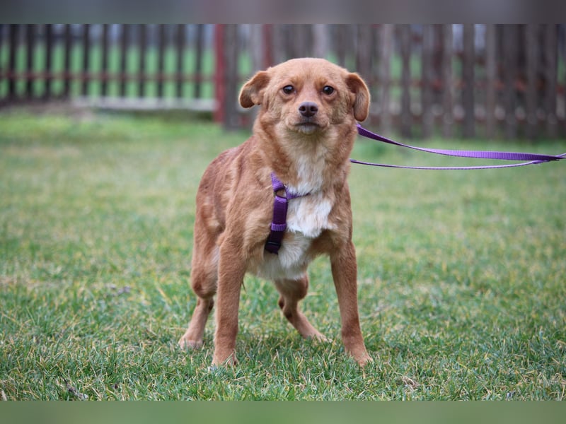 Luminara  unsere kleine sensible...