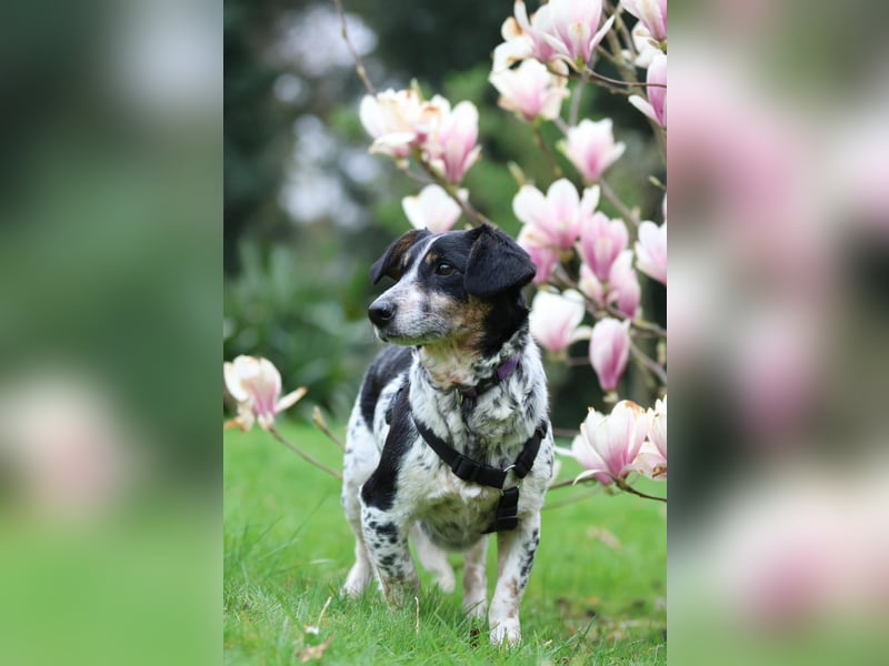 Wer schenkt Nenda ein zuhause