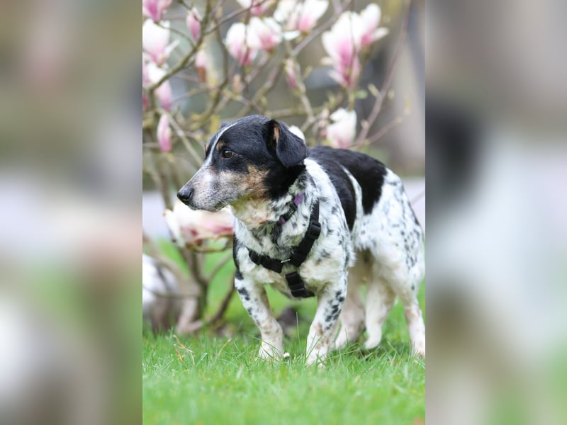 Wer schenkt Nenda ein zuhause