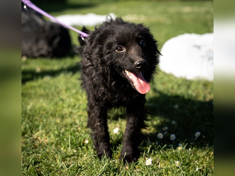 Yukina unsere kleine Schönheit ...