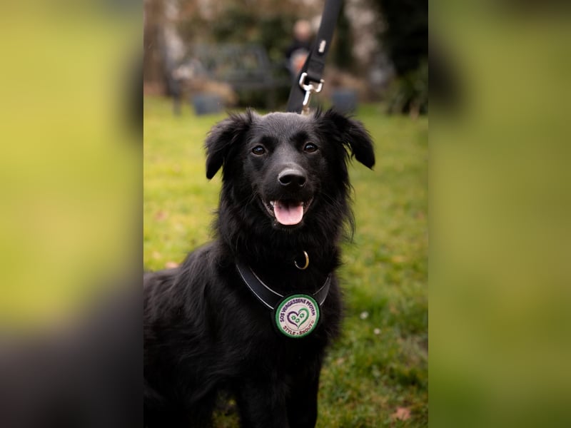 Leilani möchte ihr Herz verschenken...