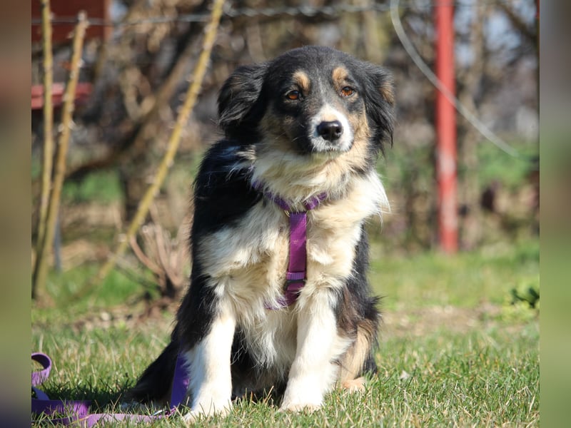 Celina sucht ihr Glück ...