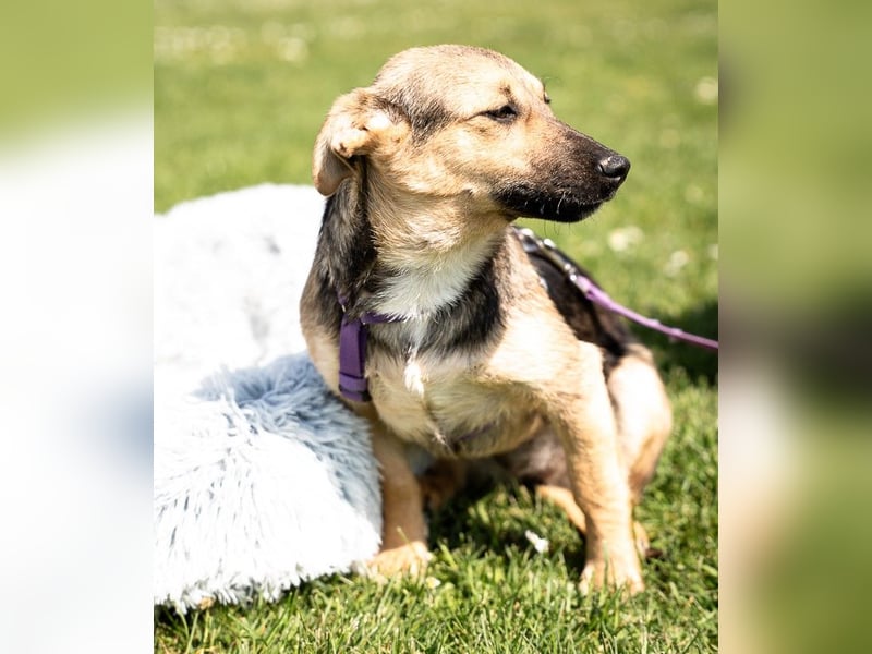 Yami kleine Kämpferin mit großem Herzen