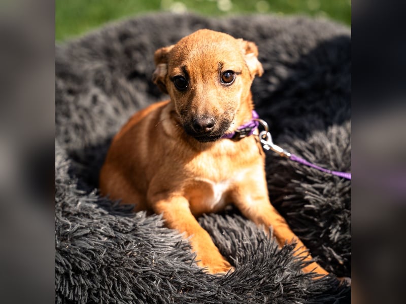 Talisa unsere kleine Schönheit ...