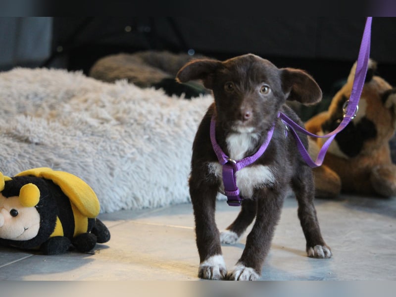 Benita unsere kleine Schönheit..