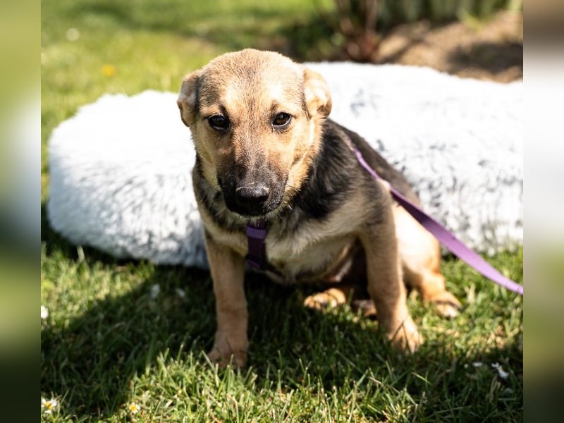 Yami kleine Kämpferin mit großem Herzen