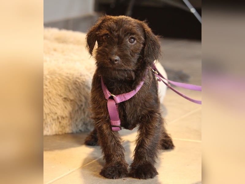 Manissa unsere kleine Schönheit ...