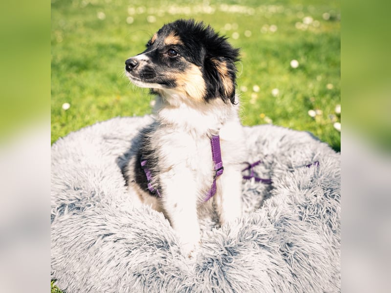 Lina unser kleiner Sonnenschein...