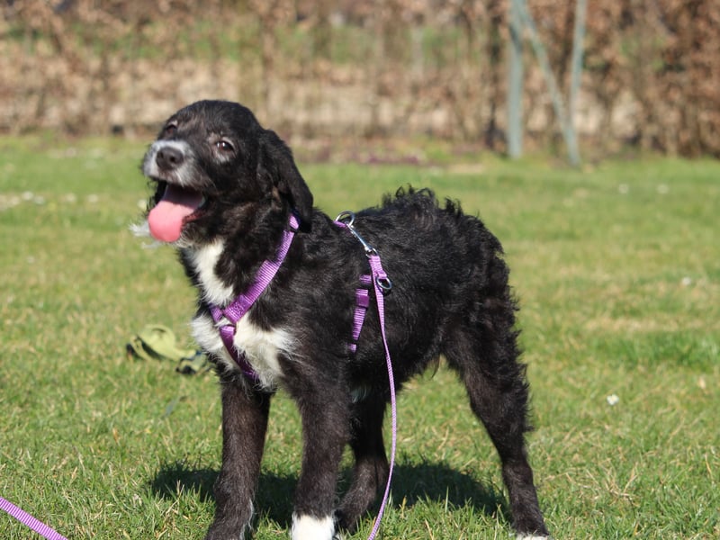 Natina hat endlose Liebe zu verschenken!