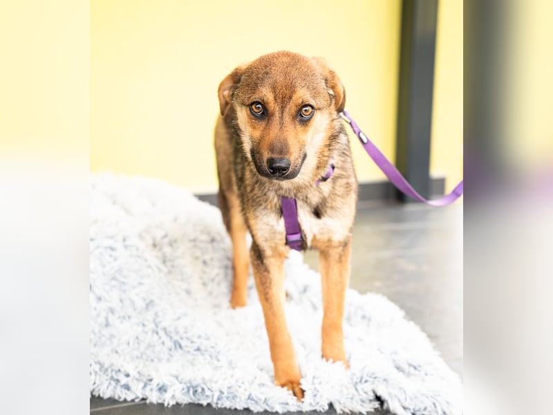 liebenswerte kleine - Serina