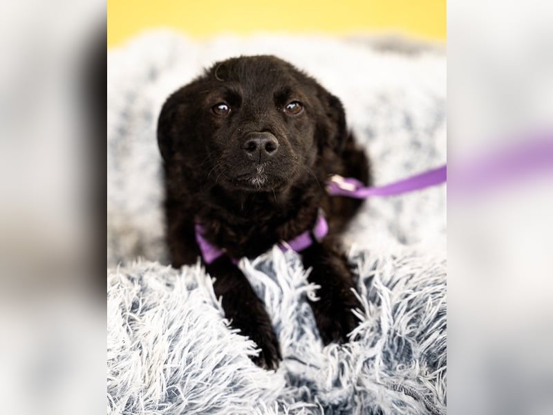 Hallo, ich bin die hübsche Sembra...