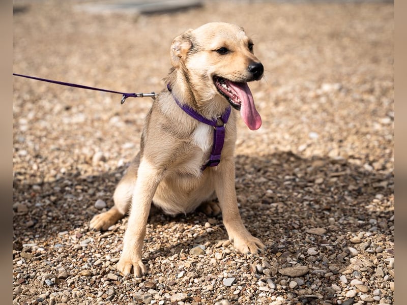 Wer schenkt Lisana ein zu Hause...