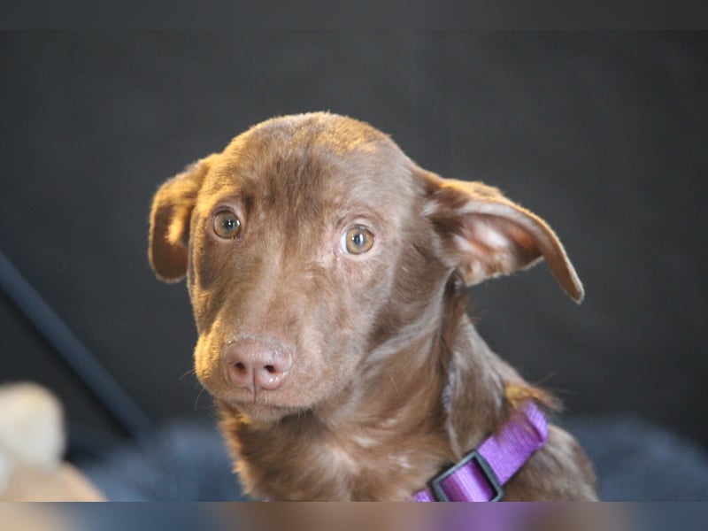 Malina unsere kleine Schönheit..