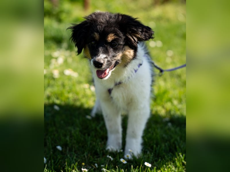 Lina unser kleiner Sonnenschein...