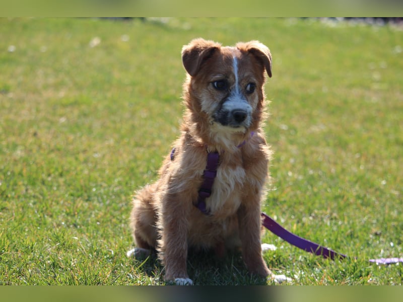 Ticina unsere kleine Prinzessin...