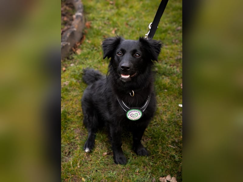 Leilani möchte ihr Herz verschenken...