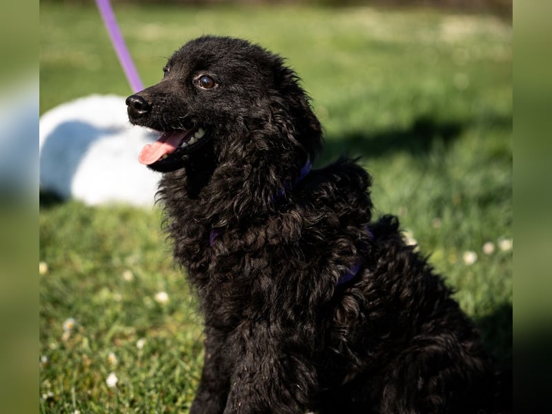 Yukina unsere kleine Schönheit ...