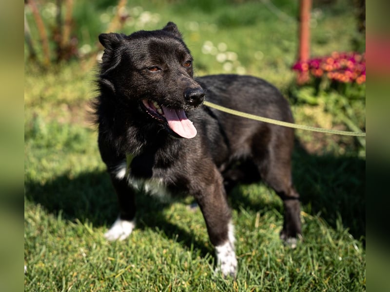 Merino – ein Lächeln, das Herzen öffnet