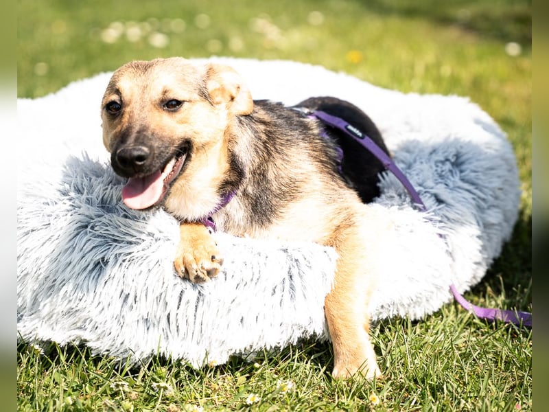 Yami kleine Kämpferin mit großem Herzen
