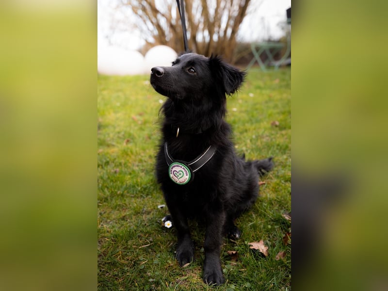 Leilani möchte ihr Herz verschenken...