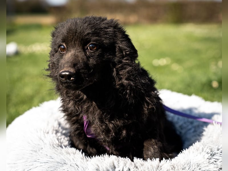 Yukina unsere kleine Schönheit ...