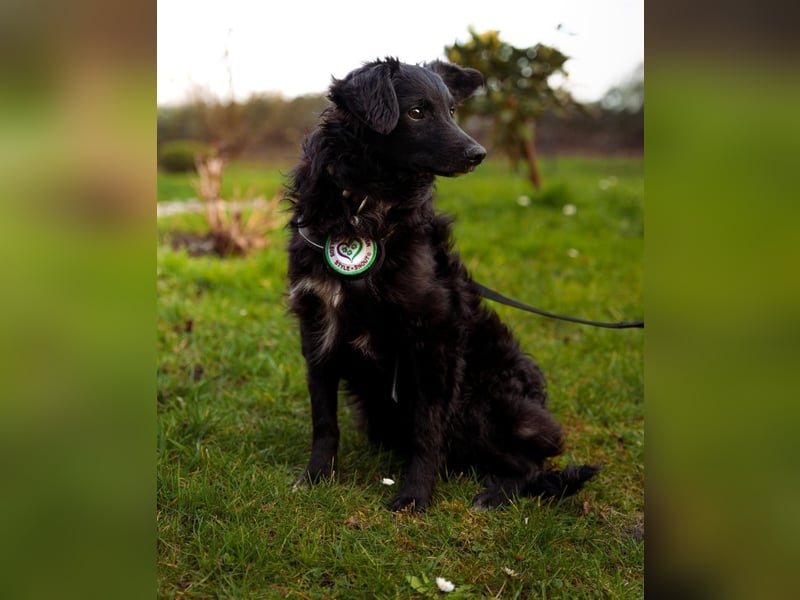 Ace such seine Herzensmenschen...