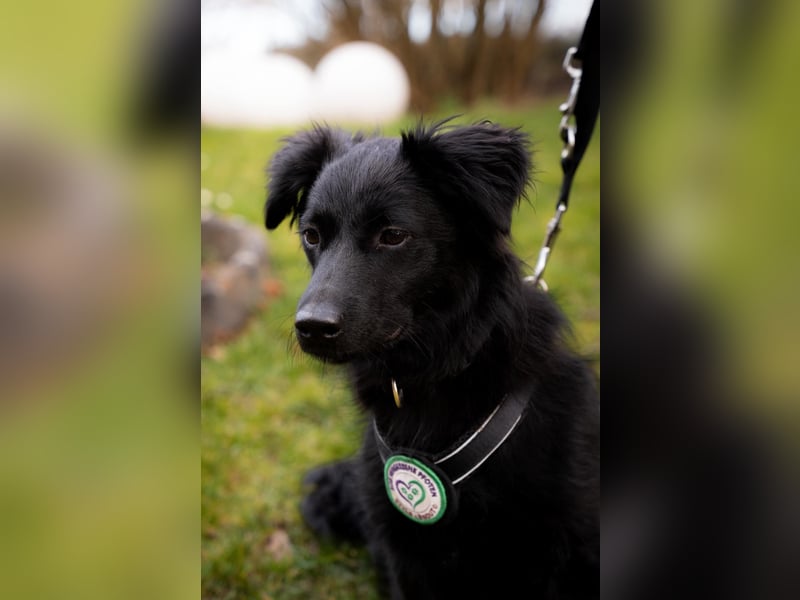 Leilani möchte ihr Herz verschenken...