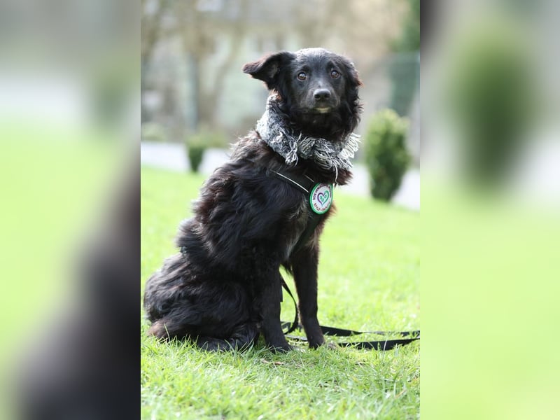 Ace such seine Herzensmenschen...