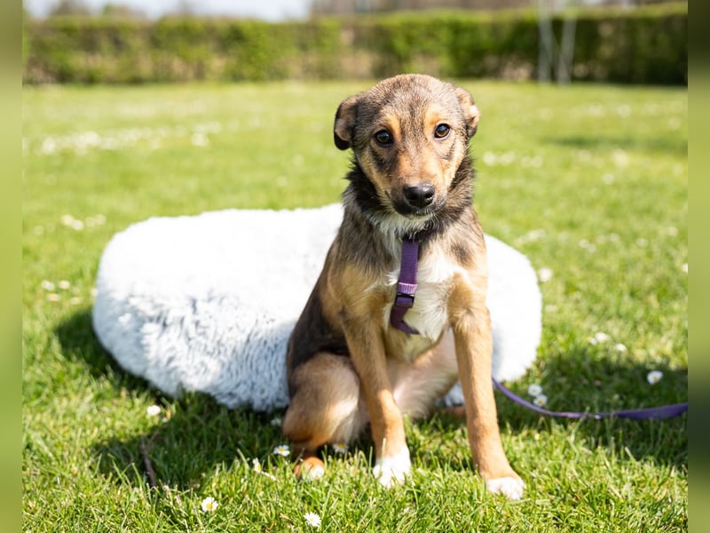 Darf ich vorstellen Prinzessin Leila