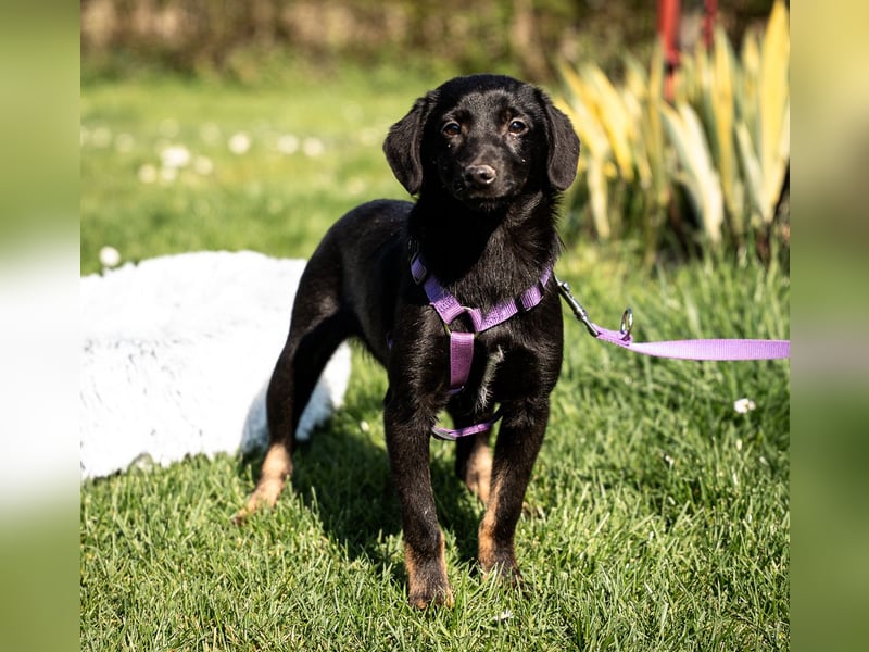 Mikana möchte mit Dir die Welt entdecken