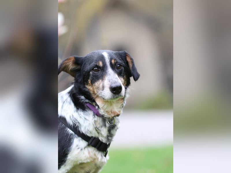 Wer schenkt Nenda ein zuhause