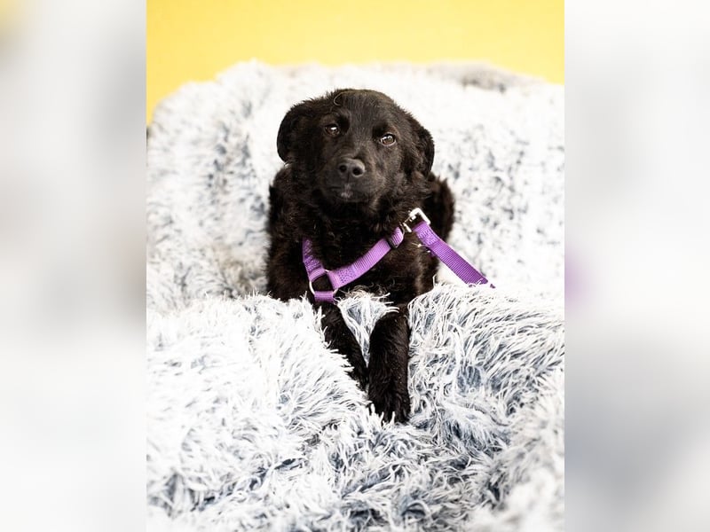 Hallo, ich bin die hübsche Sembra...