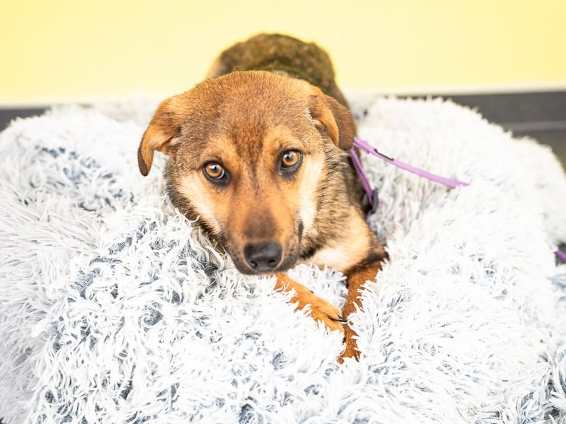 liebenswerte kleine - Serina