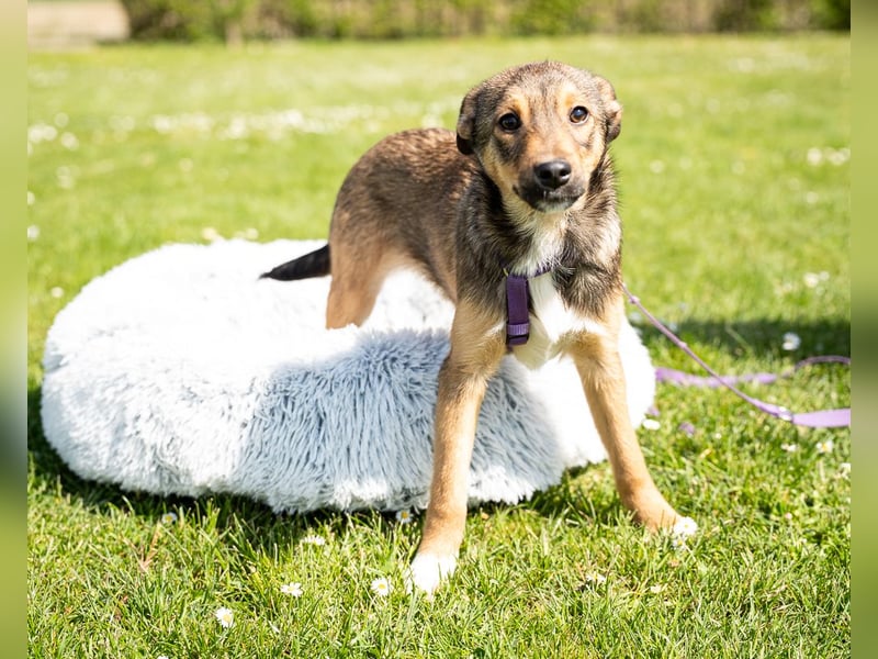 Darf ich vorstellen Prinzessin Leila