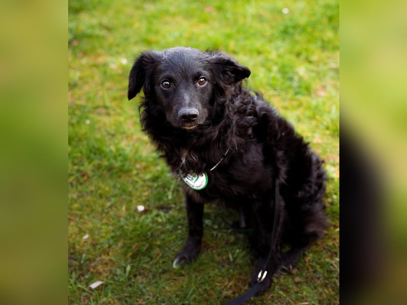 Ace such seine Herzensmenschen...