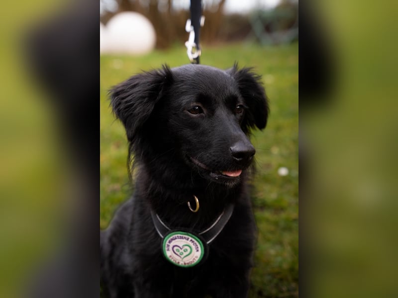 Leilani möchte ihr Herz verschenken...