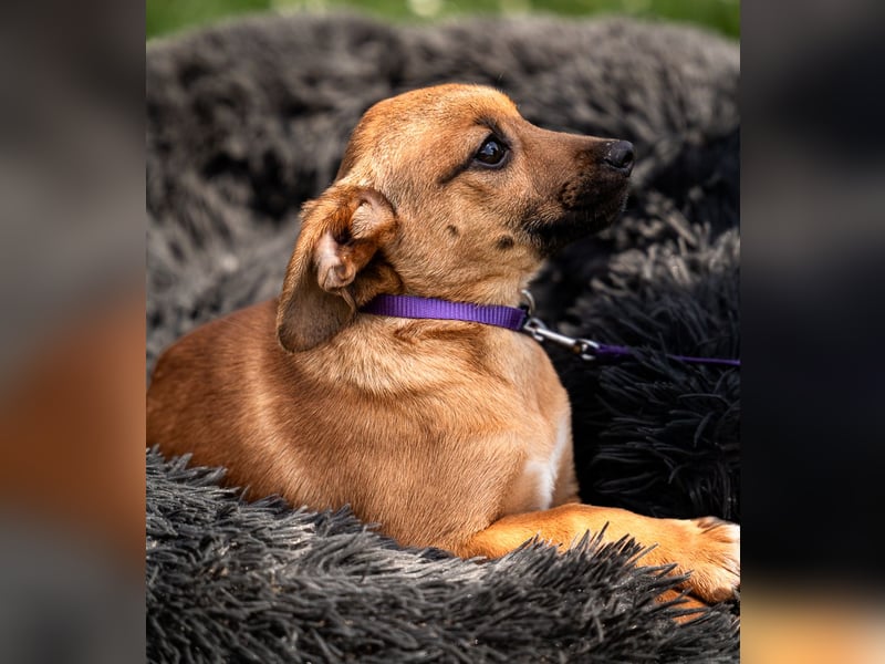 Talisa unsere kleine Schönheit ...