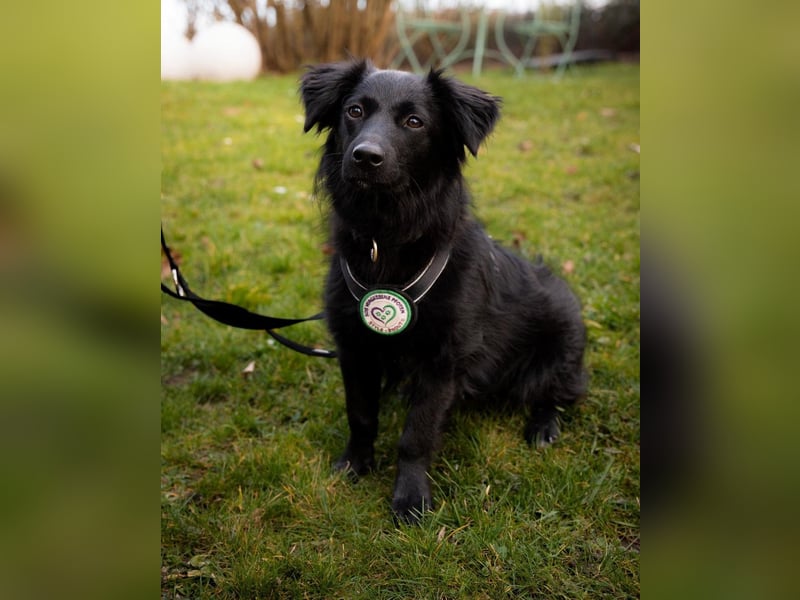 Leilani möchte ihr Herz verschenken...