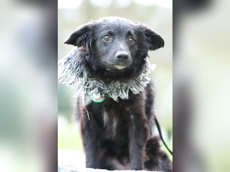 Ace such seine Herzensmenschen...