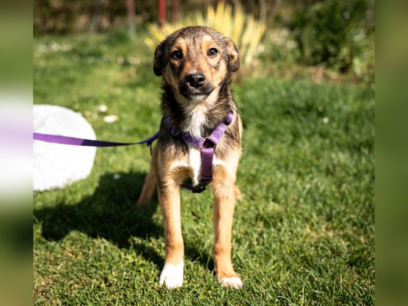 Darf ich vorstellen Prinzessin Leila