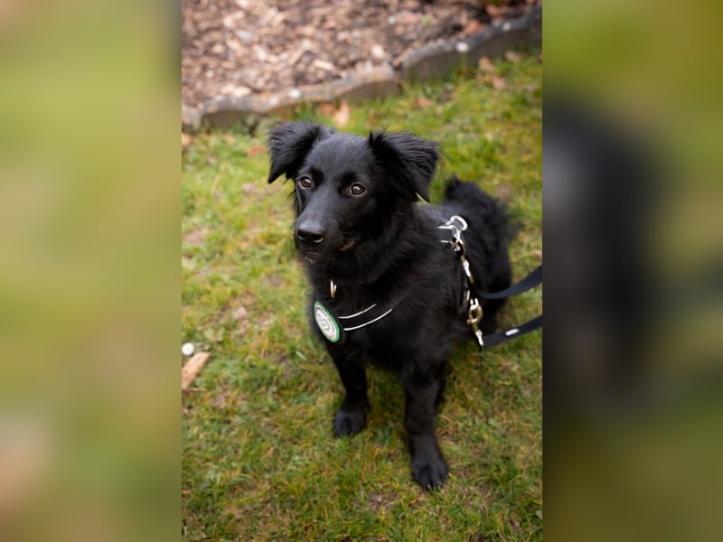 Leilani möchte ihr Herz verschenken...