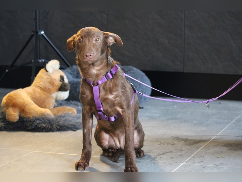 Malina unsere kleine Schönheit..