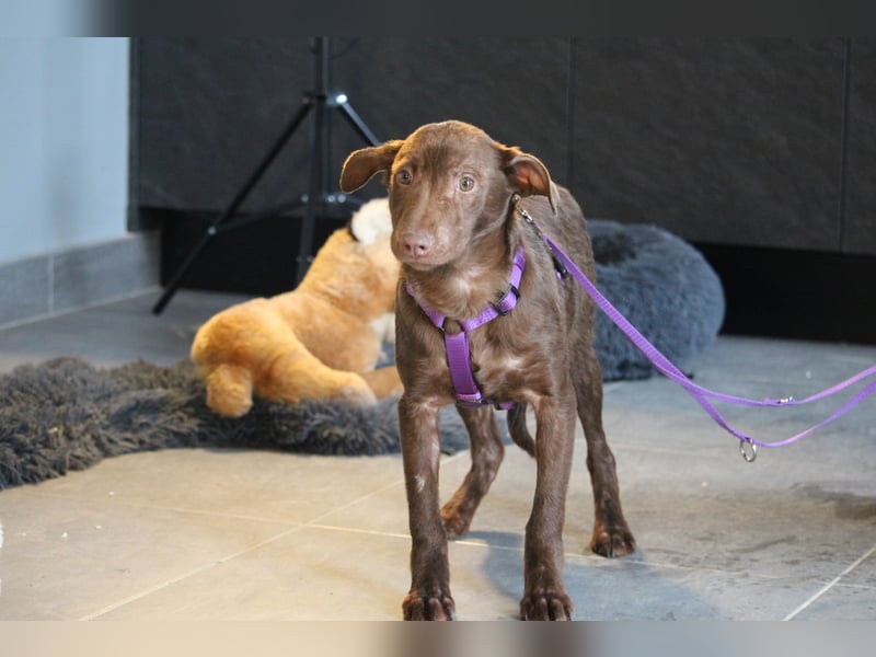 Malina unsere kleine Schönheit..