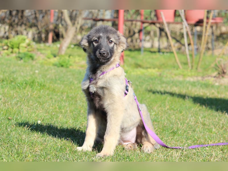 Adina sucht ihr zu Hause..