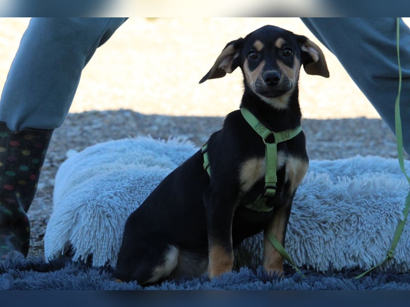 Alani such seine Herzensmenschen...